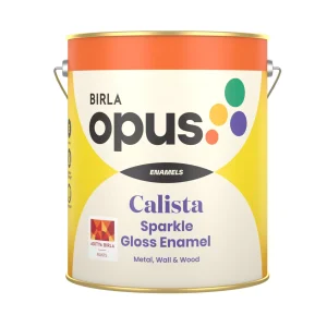 Birla Opus Calista Sparkle Gloss