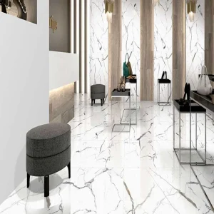 Birla Matte Ceramic Floor Tiles