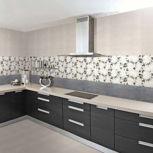 Birla Kitchen Tiles